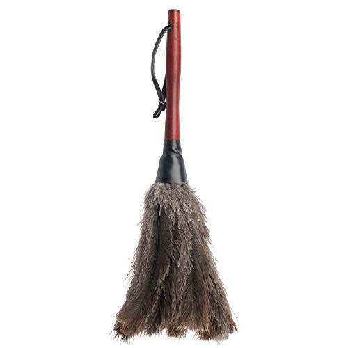 Redecker Ostrich Feather Duster with Varnished Wooden Handle, Small, 13-3/4-Inches - color: Varnished Wooden Handle, Black Feathers, Small, 13-3/4-inches