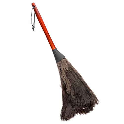 Redecker Ostrich Feather Duster with Varnished Wooden Handle, 19-2/3-Inches, Black - color: Varnished Wooden Handle, Black, 19-2/3-inches