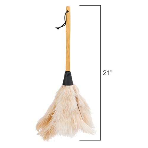 Redecker Ostrich Feather Duster with Varnished Wooden Handle, 19-2/3-Inches, White - color: Varnished Wooden Handle, White, 19-2/3-inches