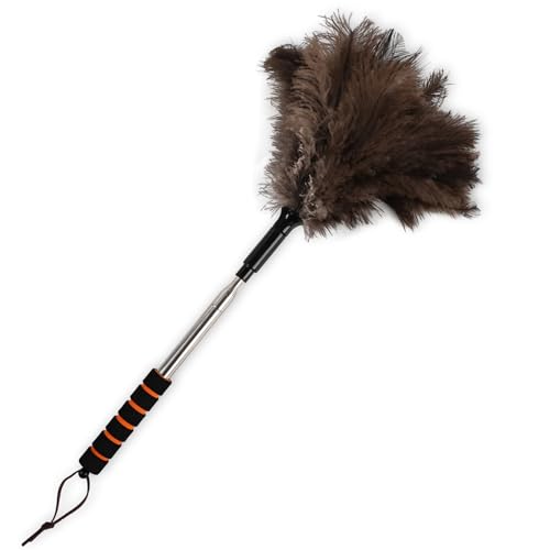 Extendable Ostrich Feather Duster 26-55 Inch, Natural Cleaning Duster with Sponge Grip and Stainless Steel Extension Pole Reusable for High Ceilings, Fans, Blinds, Furniture, Interior & Roof Dusting. - size: 21-55 Inch