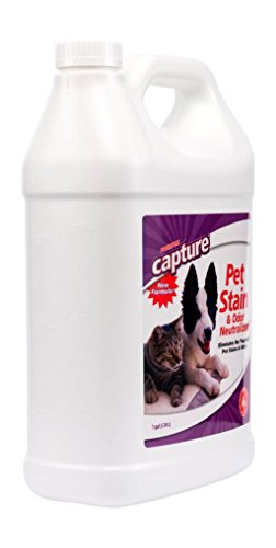 Capture Pet Stain & Odor Remover - Enzyme Pet Odor Eliminator - 1 Gallon - size: 128 Fl Oz (Pack of 1)