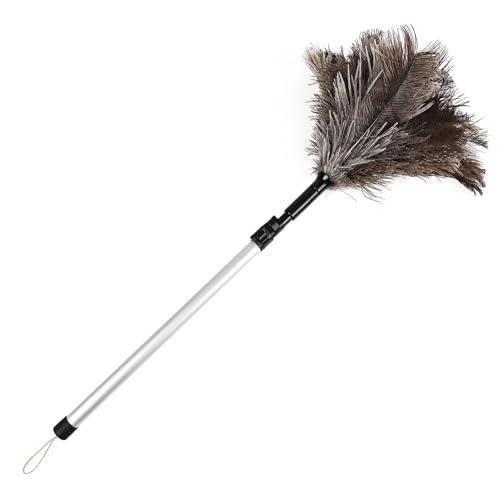 Extendable Ostrich Feather Duster 26-49 Inch, Natural Cleaning Duster with Aluminum Extension Pole Reusable for High Ceilings, Fans, Blinds, Furniture, Interior & Roof Dusting - size: 26-49 Inch