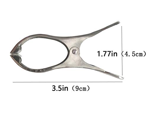 20Pack Metal Beach Towel Clips,Stainless Steel Clothes pins,clothespins - color: 3.5inch（20pack）, size: 3.5inch