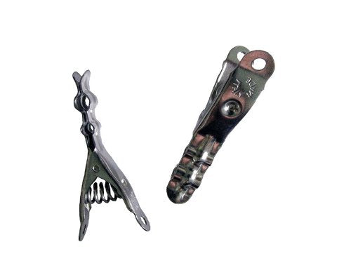 Henry Berry & Dairy Extreme Clothespins | Made in Italy | Solid 304 Stainless Steel | 20 Pack | Heavy Duty | Anti-Rust | Laundry Pins | Clothes Pins | Chip Clips | Lifetime Product | No Plastic - color: Stainless Steel
