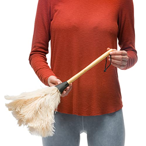 Redecker Ostrich Feather Duster with Varnished Wooden Handle, 19-2/3-Inches, White - color: Varnished Wooden Handle, White, 19-2/3-inches