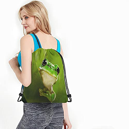 Green Frog Drawstring Bags Backpack Bag Cute Animal Little Funny Wildlife Tree Leaves Nature Black Big Eyes Sport Gym Sack Drawstring Bag String Bag Yoga Bag for Men Women - color: Multi-a04