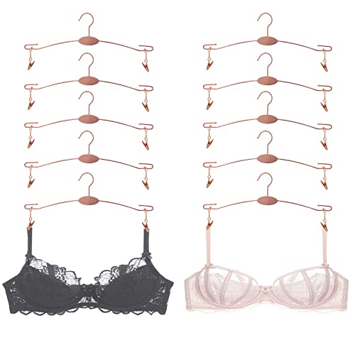 Metal Underwear Bra Rack, Durable Pants Clothes Hangers with Clips,for Lingerie Shop Display, 10pcs (Rose Gold-A1) - color: Rose Gold-a1