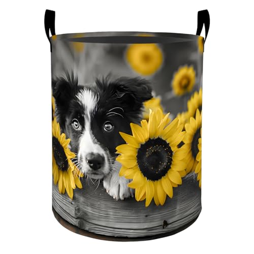 Sunflower Border Collie Laundry Basket Hamper for Boys Girls Kids Adults, Foldable Waterproof Oxford Clothes Storage Bin, Dog Organizer for Bedroom Bathroom Room Decor 19.7"x15.7" - style: Border Collie