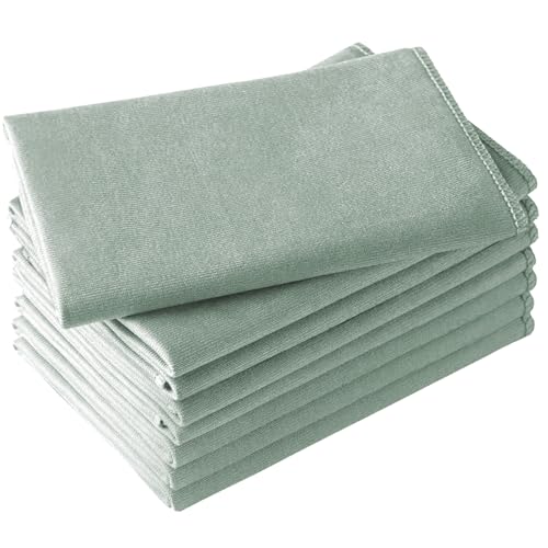 Microfiber Glass Cleaning Cloth 8 Pack, 16 Inch x 12 Inch, Lint Free Quickly Clean Window, Glasses, Windshields, Mirrors, and Stainless Steel, Green - color: Green1