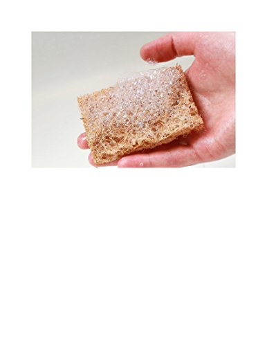 Safix Natural Non-Scratch Multi-Purpose Coconut Scrub-Pad, 4-Count. (7 x 10)