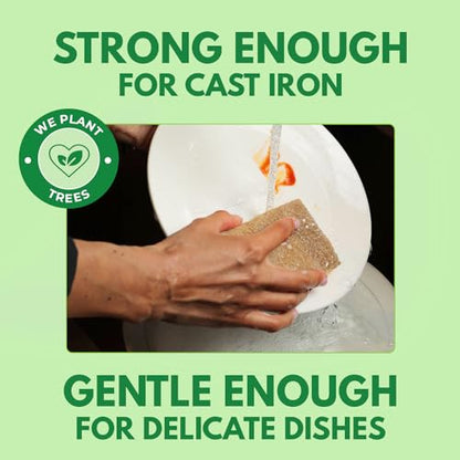 AIRNEX Biodegradable Natural Kitchen Sponges Pack of 6 - Cellulose and Coconut Walnut Scrubber Sponge - Eco Friendly Sponges for Dishes - size: 6 Pack