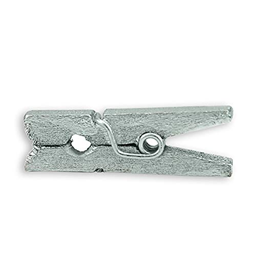 LWR CRAFTS Wooden Mini Clothespins 200 Per Pack 1" 2.5cm (Silver) - color: Silver