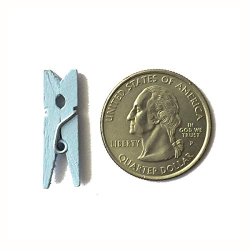 LWR CRAFTS Wooden Mini Clothespins 200 Per Pack 1" 2.5cm (Light Blue) - color: Light Blue