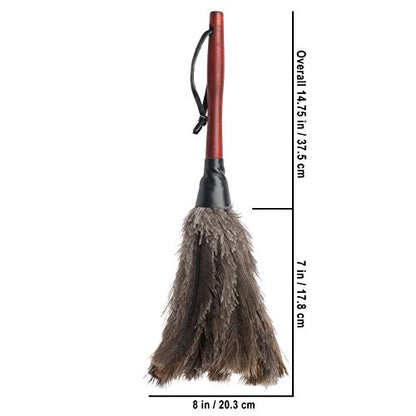 Redecker Ostrich Feather Duster with Varnished Wooden Handle, Small, 13-3/4-Inches - color: Varnished Wooden Handle, Black Feathers, Small, 13-3/4-inches