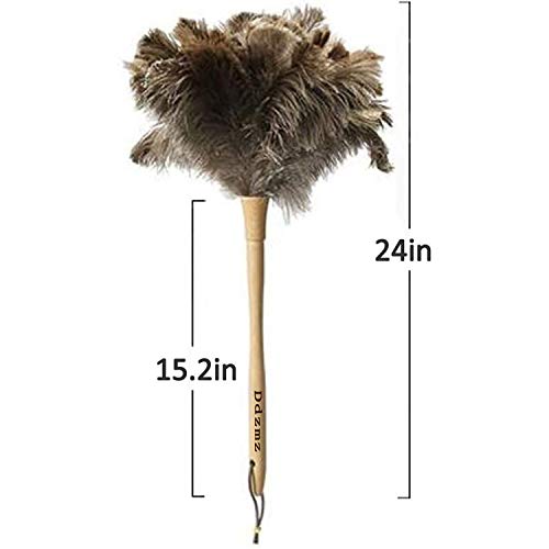 DDZMZ Ostrich Feather Duster for Cleaning with Long Wooden Handle,24" - color: Brown 24"