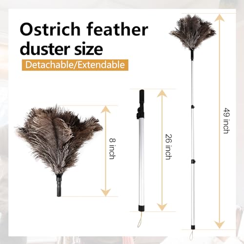 Extendable Ostrich Feather Duster 26-49 Inch, Natural Cleaning Duster with Aluminum Extension Pole Reusable for High Ceilings, Fans, Blinds, Furniture, Interior & Roof Dusting - size: 26-49 Inch