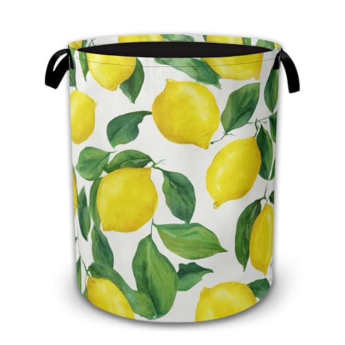 Lemons Collapsible Laundry Hamper with Handles,Leaves Oxford Cloth Laundry Basket,Storage Organizer for Bathroom Bedroom Laundry Room - color: Lemons,Leaves