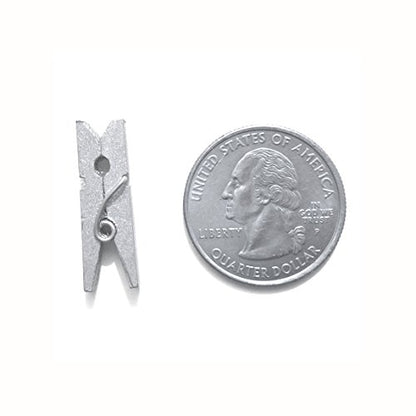 LWR CRAFTS Wooden Mini Clothespins 200 Per Pack 1" 2.5cm (Silver) - color: Silver