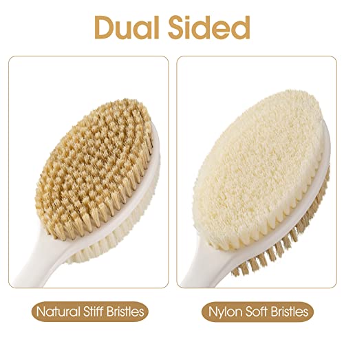 Backski Back Scrubber Anti Slip for Shower, Long Handle Bath Brush with Stiff and Soft Bristles for Exfoliation, Dual-Use Shower and Dry Body Brush(Purple) - color: Purple