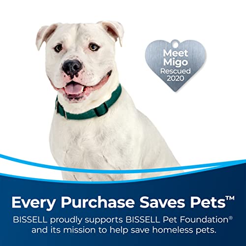 Bissell MultiClean Allergen Rewind Pet Vacuum, HEPA, 3405 - style: MultiClean Rewind