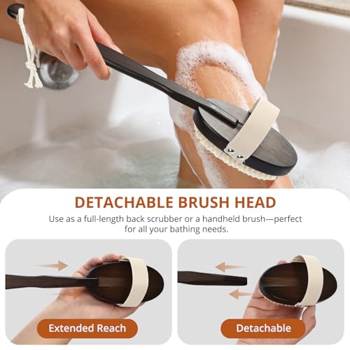 Dry & Wet Body Brush, Natural Boar Bristle Back Scrubber, Brown - color: Dark Brown