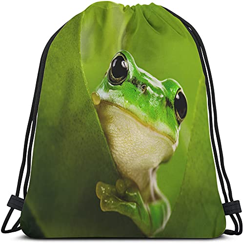 Green Frog Drawstring Bags Backpack Bag Cute Animal Little Funny Wildlife Tree Leaves Nature Black Big Eyes Sport Gym Sack Drawstring Bag String Bag Yoga Bag for Men Women - color: Multi-a04