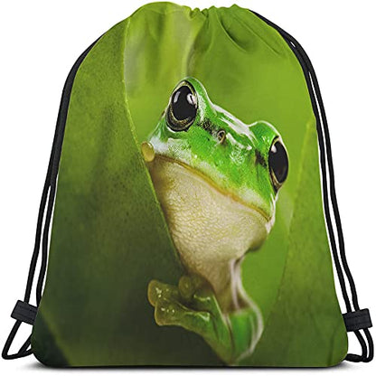 Green Frog Drawstring Bags Backpack Bag Cute Animal Little Funny Wildlife Tree Leaves Nature Black Big Eyes Sport Gym Sack Drawstring Bag String Bag Yoga Bag for Men Women - color: Multi-a04
