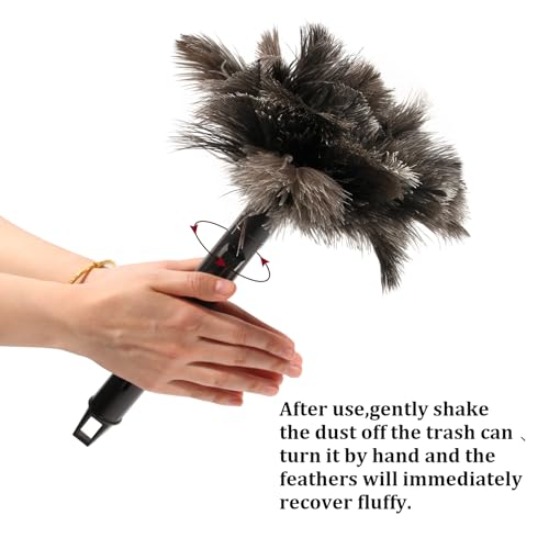 Retractable Ostrich Feather Duster for Cleaning, Fluffy and Natural Feather Duster with Retractable Handle， Reusable Eco-Friendly Handheld Cleaning Supplies (15 inch) - color: Model-15”-brown-2 Pieces