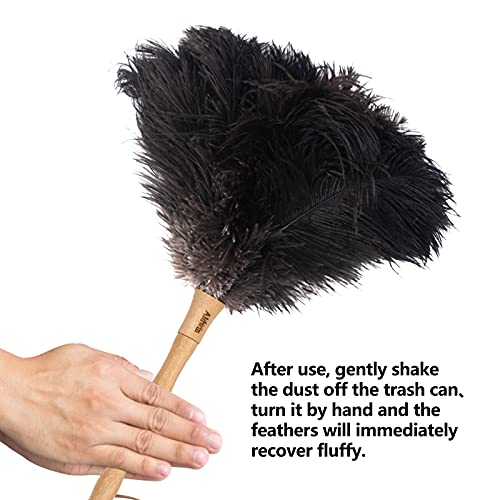 Aldwin Ostrich Feather Dusters for Cleaning, 16 inch Black - color: Black