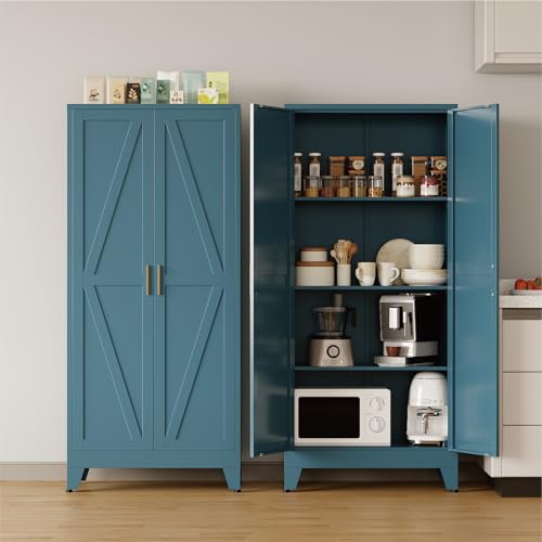COFaR Metal Pantry Cabinet with Doors, Farmhouse 61'' Tall Storage Cabinet with 3 Adjustable Shelves, Kitchen Pantry Cabinet for Dinning Room, Laundry, Peacock Blue 4-Tier - color: Peacock Blue, size: 61'' 2 Doors 0 Drawer-Barn Door