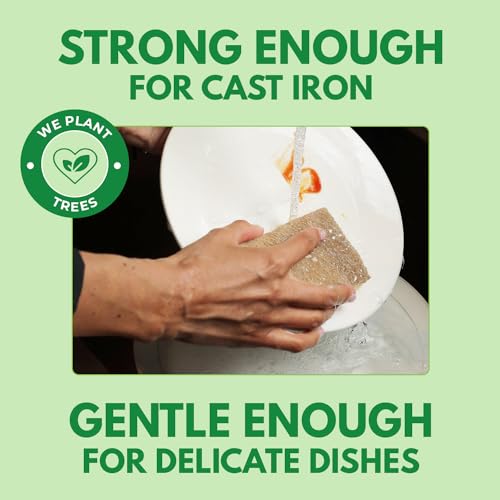 AIRNEX Natural Kitchen Sponges Pack of 20 - Biodegradable Cellulose and Coconut Husk Walnut Scrubbers - Odor Free Non Scratch - Eco Friendly Quick Drying Dishwashing Sponges - size: 20 Pack