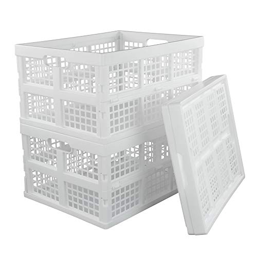 Begale 32 L Plastic Storage Baskets, 3-Pack Collapsible Crates, White - size: 28 L