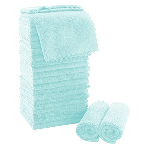 MOONQUEEN Ultra Soft Premium Washcloths Set - 12 x 12 inches - 24 Pack - Quick Drying - Highly Absorbent Coral Velvet Bathroom Wash Clothes - Use as Bath, Spa, Facial, Fingertip Towel (Frozen Blue) - color: Frozen Blue, size: 12 x 12 Inch(Pack of 24)