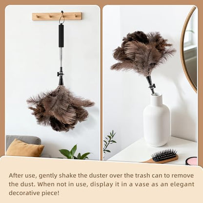 Extendable Ostrich Feather Duster for Cleaning with 49 inch Rotatable Pole - color: 49in-brown