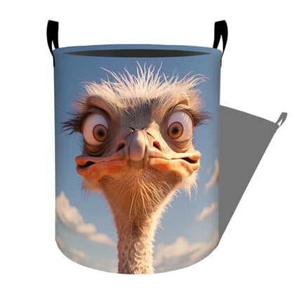 Funny Ostrich Laundry Basket, Dorm Nursery Foldable Laundry Hamper Organizer for Bathroom Decor, Toy Clothes Storage Box for Bedroom 19.7x15.7 Inch - style: Ostrich36