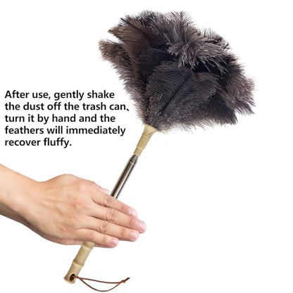 Aldwin Ostrich Feather Duster, 43" Extendable Feather Dusters for Cleaning