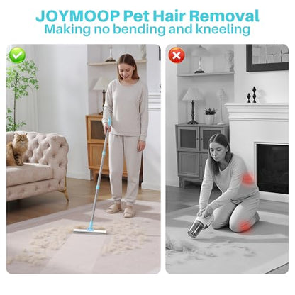 JOYMOOP Carpet Rake for Pet Hair Removal, 63" Adjustable Long Handle Pet Hair Remover, Reusable Cat Dog Hair Carpet Rake with Metal and Silicone Scraper for Rug, Sofa, Cloth - size: 1 PCS[1 Long Handle]