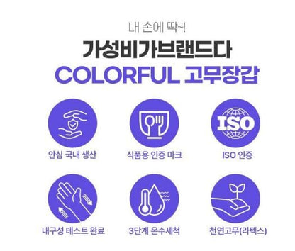 Urban Blue 2 Pairs Colorful Natural Latex Household Gloves for Dishwashing & Cleaning, Textured Grip, Reusable, Comfortable Fit (Made in Korea)