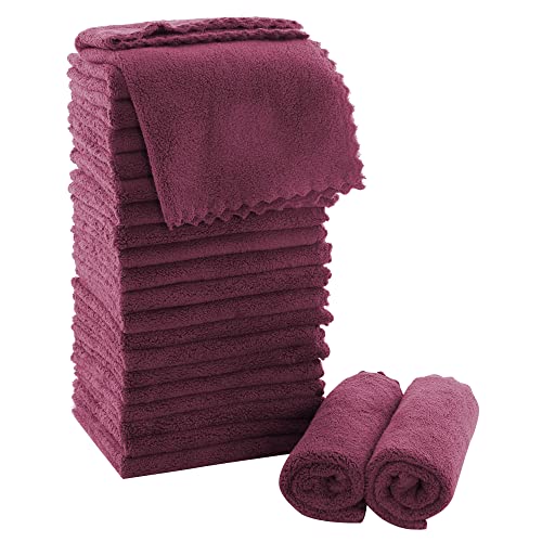 MOONQUEEN Ultra Soft Premium Washcloths Set - 12 x 12 inches - 24 Pack - Quick Drying - Highly Absorbent Coral Velvet Bathroom Wash Clothes - Use as Bath, Spa, Facial, Fingertip Towel (Burgundy) - color: Burgundy, size: 12 x 12 Inch(Pack of 24)