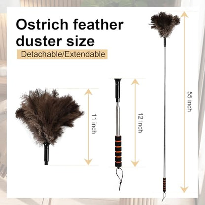 Extendable Ostrich Feather Duster 26-55 Inch, Natural Cleaning Duster with Sponge Grip and Stainless Steel Extension Pole Reusable for High Ceilings, Fans, Blinds, Furniture, Interior & Roof Dusting. - size: 21-55 Inch