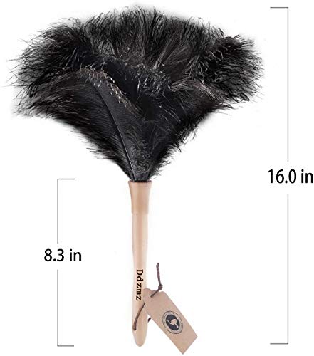 DDZMZ Ostrich Feather Duster for Cleaning with Natural Fluffy,16",Black - color: Black 16"