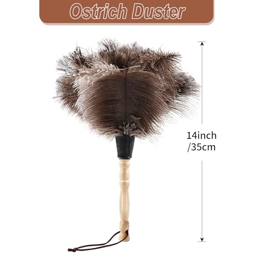 Ostrich Feather Duster 14" Natural Handheld Reusable Feathers Dusters with Wooden Handle for Cleaning Supplies Home Car Office(6PCS) - color: Natural-14in-stylec-6pcs