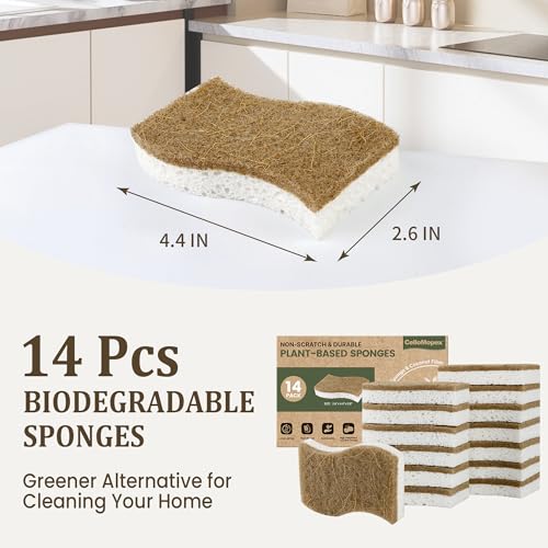 14 Pack Kitchen Sponges, Natural Dish Sponges for Kitchen, Non Scratch Pads