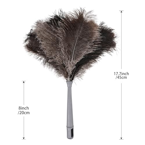Feather Duster-Genuine Ostrich Feathers,Anti-Static,Reusable Eco-Friendly Handheld Cleaning for Keyboard,Home,Car,Office(17Inch,2Pack) - color: Natural-17in-styled-2pcs