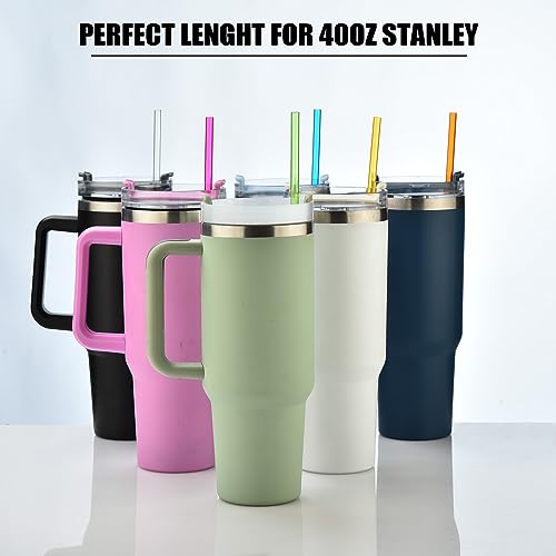 ALINK 13 inch Reusable Plastic Straws, Extra Long Colorful Tritan Tumbler Replacement Straws for Stanley Cups, 1 Gallon, 64/40/ 32 oz Water Bottles, Set of 10 with Brush - style: 13 INCH