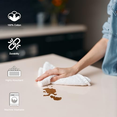 100% Cotton Terry Towels - Pack of 500 (12x12 Inches) White Cotton Terry Cloth Bar Rags, Multipurpose High Absorbent Cleaning Cloths for Auto Detailing or Painters - size: 500 Pack