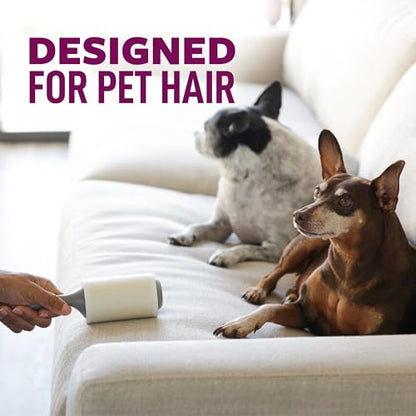 Scotch-Brite Lint Roller, Pet Hair Pickup, Extra Sticky, Large | for Fur and Fluff | for Couches and Clothes | Easy-Tear Adhesive | 60 Sheets, Pack of 2 - size: 2 Rollers