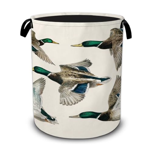 Vintage Mallard Duck Laundry Basket,Foldable Oxford Laundry Hamper with Handles,Portable Clothes Tote Bag Clothes Storage Bucket Organizer 20.8" x16" For Bathroom/Laundry Storage/Bedroom - color: Vintage Mallard Duck