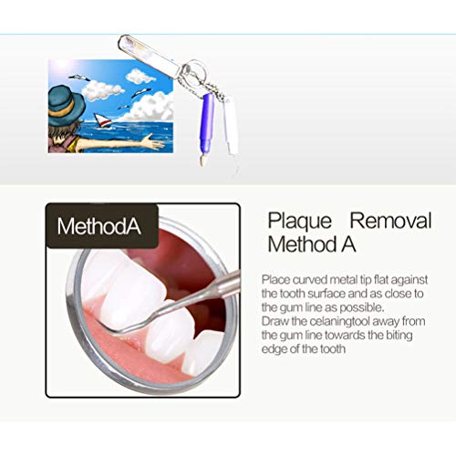 2pcs Portable Oral Dental Tooth Hook Hygeine Cleaning Molars Tool Teeth Stains Remover Plaque Remover - color: 2 Pcs