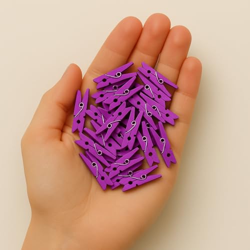 LWR CRAFTS Wooden Mini Clothespins 100 Per Pack 1" 2.5cm (Purple) - color: Purple